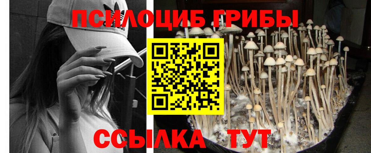 Изобильный  Псилоцибиновые грибы Cubensis  где найти наркотики  Вход с VPN 